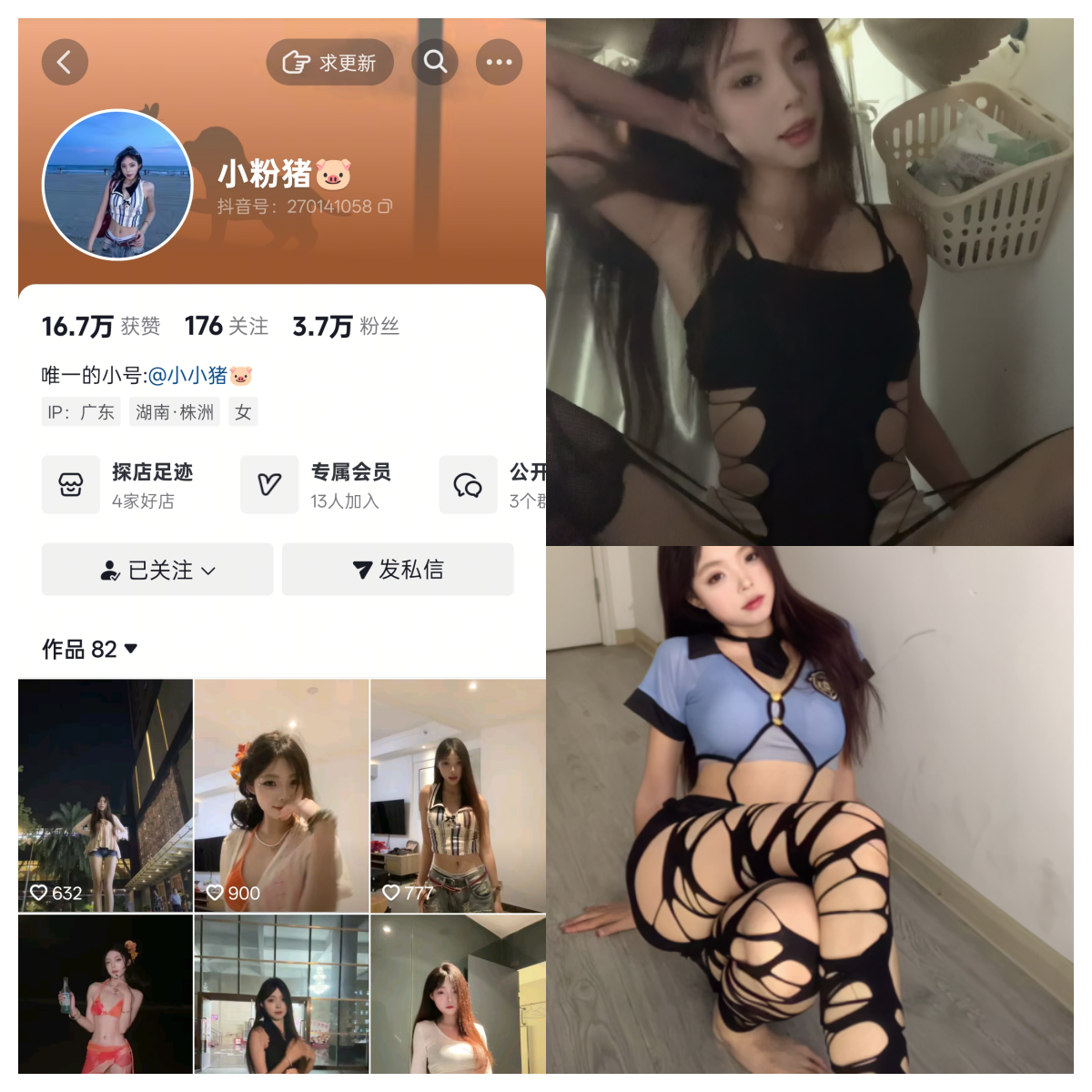 抖音小粉猪私人定制